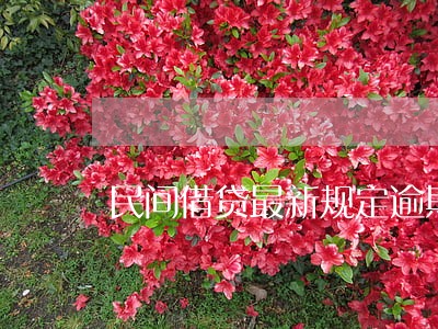 民间借贷最新规定逾期利息 民间借贷最新规定逾期利息