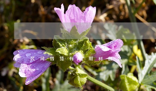 民间借贷有逾期利息么 民间借贷有逾期利息么