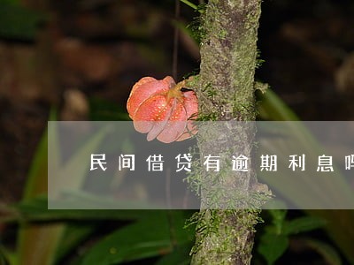 民间借贷有逾期利息吗 民间借贷有逾期利息吗