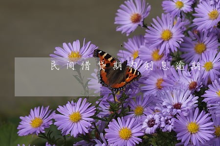 民间借贷期内利息逾期 民间借贷期内利息逾期