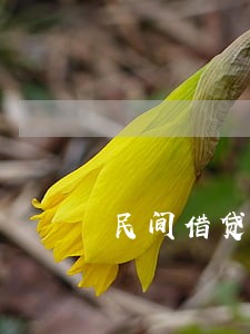 民间借贷未约定逾期利息判决书 民间借贷未约定逾期利息判决书