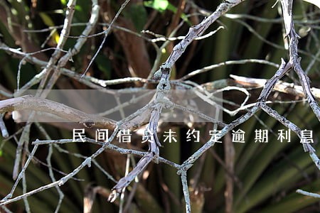 民间借贷未约定逾期利息是哪条 民间借贷未约定逾期利息是哪条
