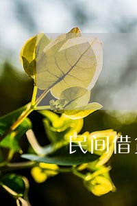 民间借贷未约定逾期利息的 民间借贷未约定逾期利息的