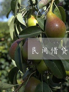 民间借贷案件逾期利息判决表述