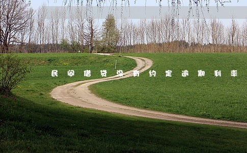 民间借贷没有约定逾期利率