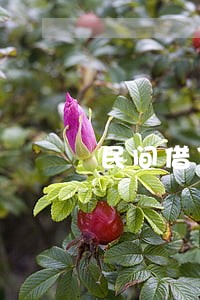 民间借贷没约定利息逾期 民间借贷没约定利息逾期