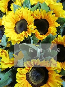 民间借贷法定利息逾期利息 民间借贷法定利息逾期利息
