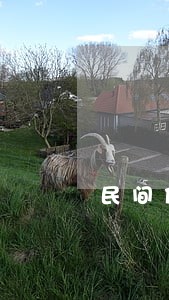 民间借贷法院仲裁是什么意思