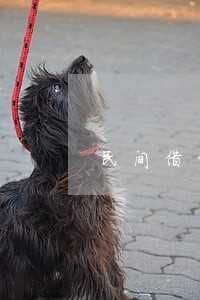 民间借贷法院先判哪些人的钱