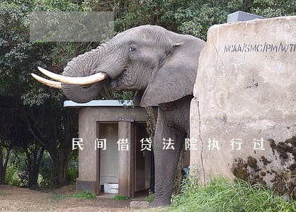 民间借贷法院执行过 民间借贷法院执行过