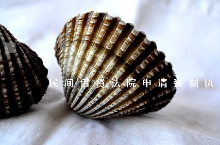 民间借贷法院申请强制执行要多久