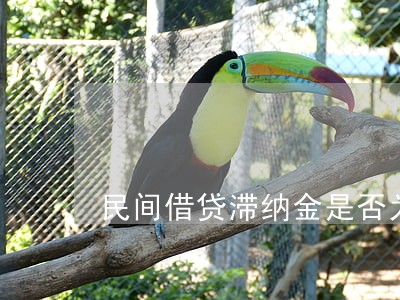 民间借贷滞纳金是否为逾期利息 民间借贷滞纳金是否为逾期利息