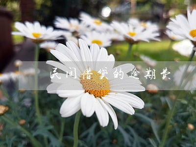 民间借贷的逾期费