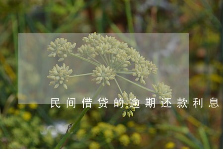 民间借贷的逾期还款利息 民间借贷的逾期还款利息