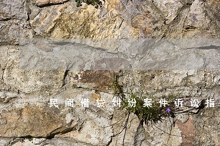 民间借贷纠纷案件诉讼指南 民间借贷纠纷案件诉讼指南