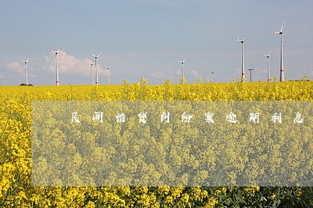 民间借贷纠纷案逾期利息 民间借贷纠纷案逾期利息