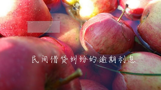 民间借贷纠纷的逾期利息 民间借贷纠纷的逾期利息