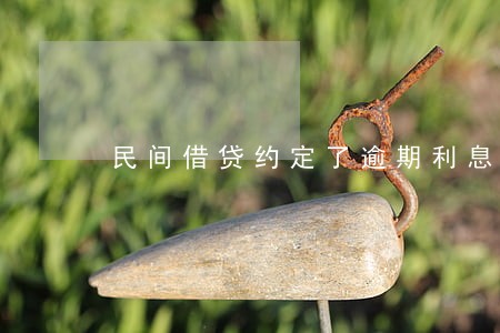 民间借贷约定了逾期利息为0 民间借贷约定了逾期利息为0