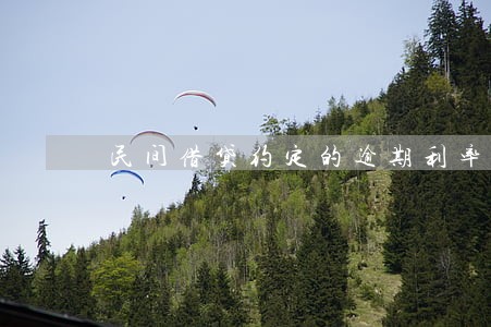 民间借贷约定的逾期利率 民间借贷约定的逾期利率
