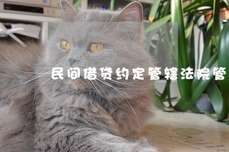 民间借贷约定管辖法院管辖权 民间借贷约定管辖法院管辖权