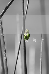 民间借贷约定逾期利息过高 民间借贷约定逾期利息过高