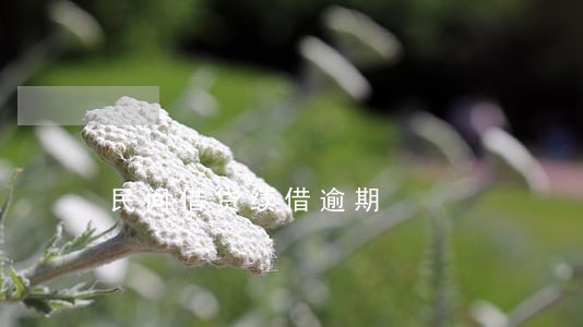 民间借贷续借逾期 民间借贷续借逾期