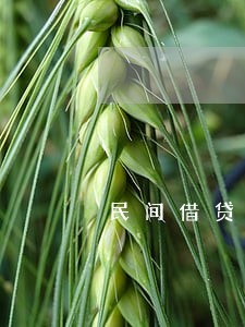 民间借贷虚假诉讼的类型如何界定 民间借贷虚假诉讼的类型如何界定