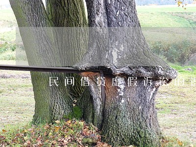 民间借贷虚假诉讼的识别和救济 民间借贷虚假诉讼的识别和救济