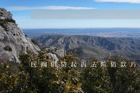 民间借贷起诉法院借款方 民间借贷起诉法院借款方
