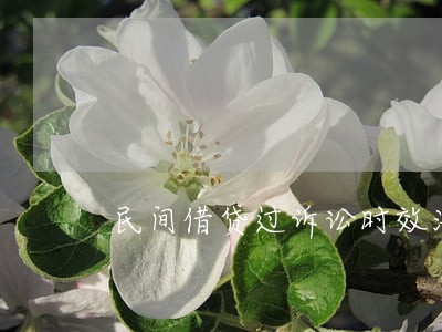 民间借贷过诉讼时效法院怎么判 民间借贷过诉讼时效法院怎么判