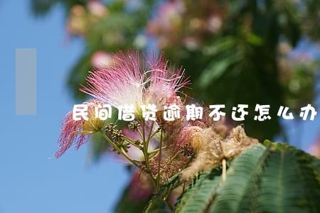民间借贷逾期不还怎么办 民间借贷逾期不还怎么办