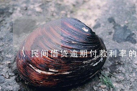 民间借贷逾期付款利率的规定 民间借贷逾期付款利率的规定