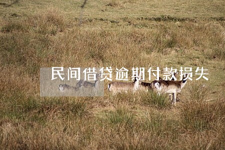 民间借贷逾期付款损失 民间借贷逾期付款损失