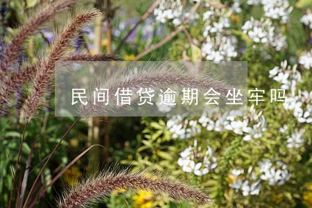 民间借贷逾期会坐牢吗 民间借贷逾期会坐牢吗