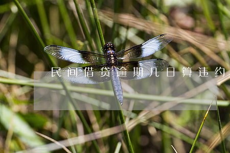 民间借贷逾期几日算违约 民间借贷逾期几日算违约
