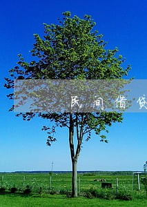民间借贷逾期利息主张最新规定 民间借贷逾期利息主张最新规定