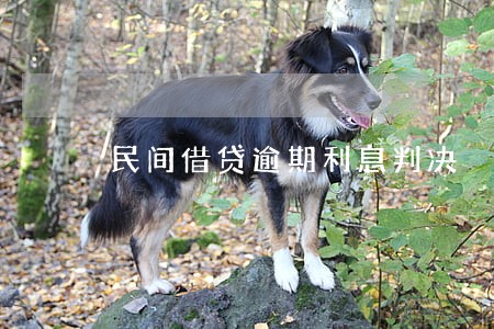 民间借贷逾期利息判决 民间借贷逾期利息判决