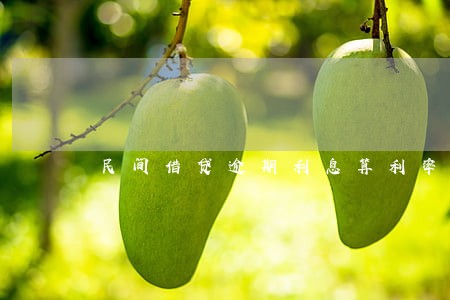 民间借贷逾期利息算利率吗 民间借贷逾期利息算利率吗