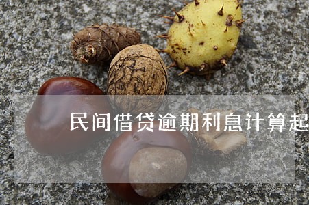 民间借贷逾期利息计算起点 民间借贷逾期利息计算起点