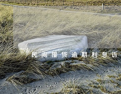 民间借贷逾期利息诉状 民间借贷逾期利息诉状