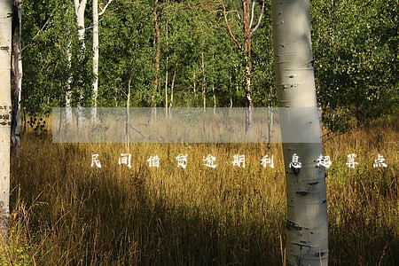 民间借贷逾期利息起算点 民间借贷逾期利息起算点