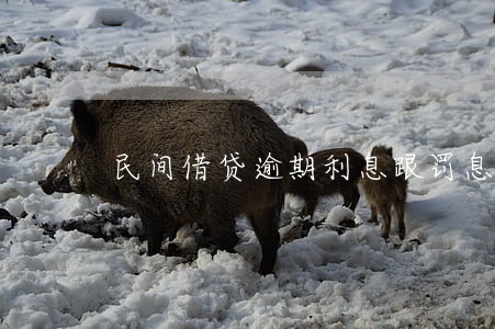 民间借贷逾期利息跟罚息 民间借贷逾期利息跟罚息