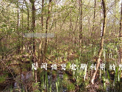 民间借贷逾期利率的规定 民间借贷逾期利率的规定
