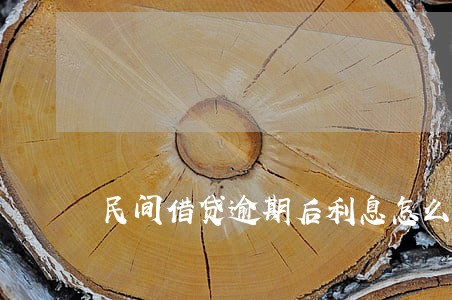 民间借贷逾期后利息怎么算