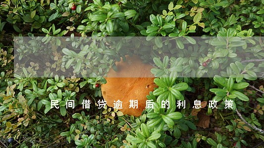 民间借贷逾期后的利息政策