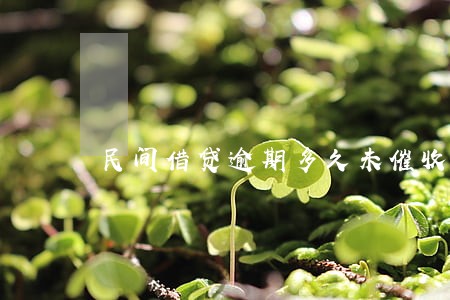 民间借贷逾期多久未催收无效 民间借贷逾期多久未催收无效