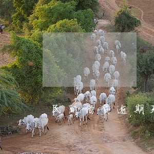 民间借贷逾期天利息