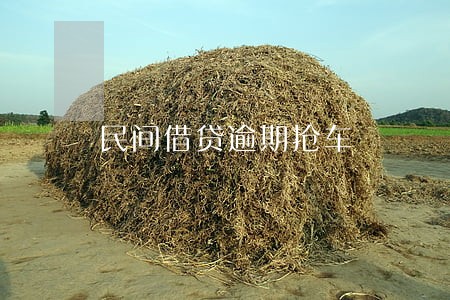 民间借贷逾期抢车