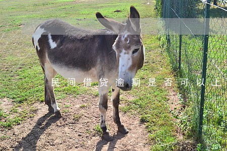 民间借贷逾期是否可以上征信 民间借贷逾期是否可以上征信