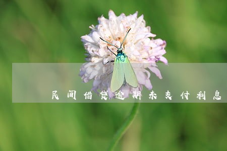 民间借贷逾期未支付利息